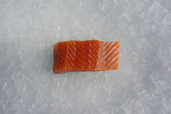 Verse zalm kopen