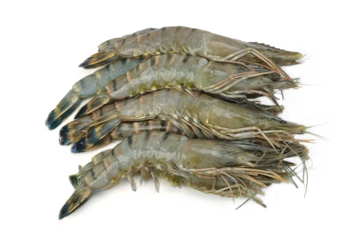 ongepelde gambas kopen