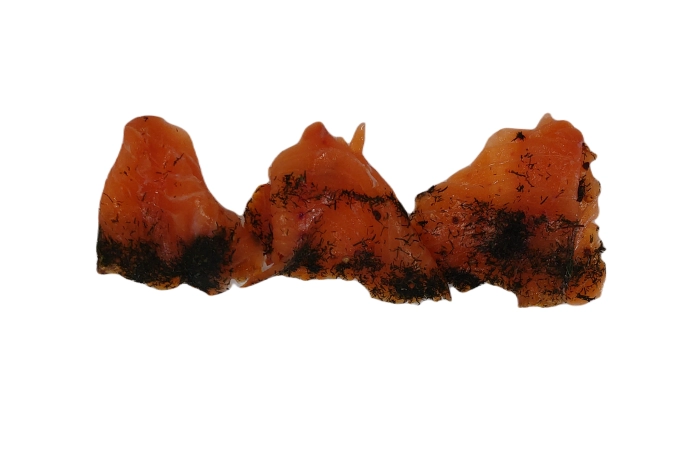 Gravad lachs kopen
