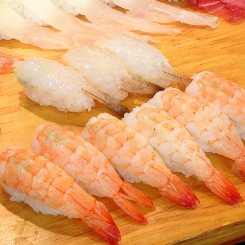 Gamba bereiden voor sushi