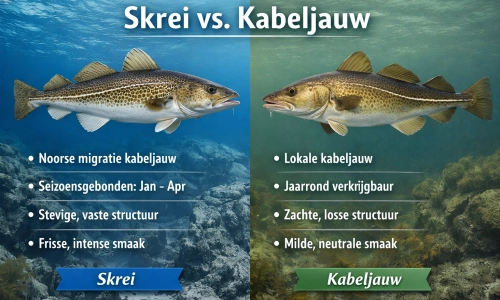 Verschillen tussen skrei en kabeljauw