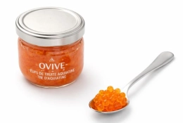 Zalmforel eitjes kopen